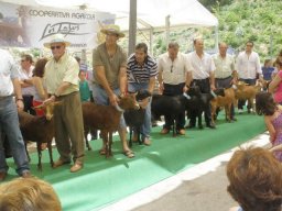 phoca_thumb_l_fotosnoviembre2012 2098